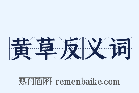 黄草反义词是什么意思的图片